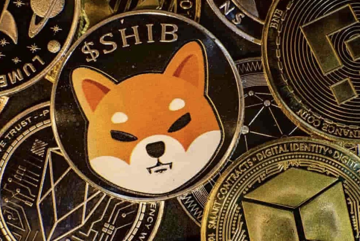 Shiba Inu testa a testa con i dogecoin, ma il sorpasso è durato poco