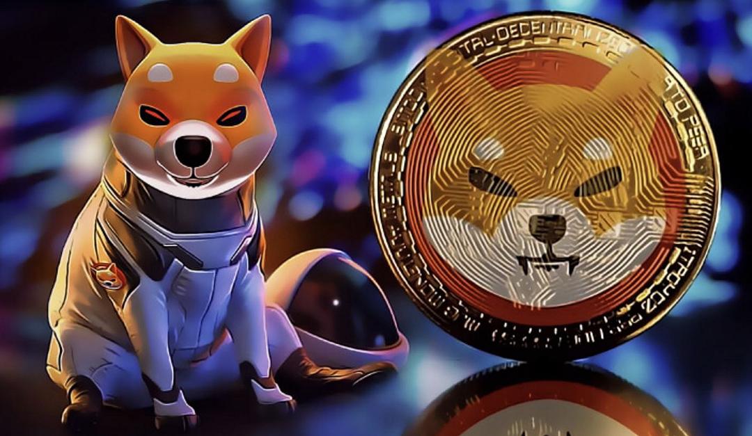 Balena muove 2,3 miliardi di USD, Shiba Inu crolla a picco: -17% in pochi istanti
