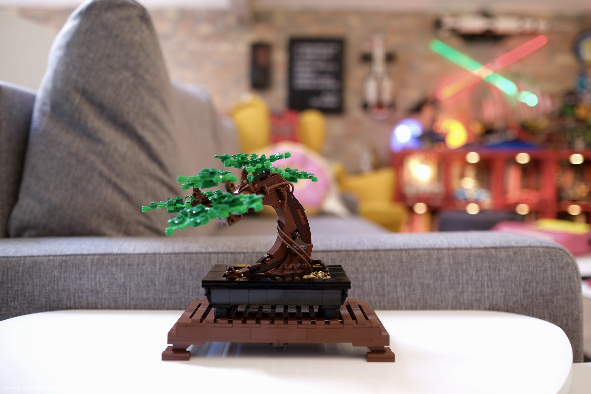 LEGO Botanical Collection: il bonsai ed il mazzo di fiori nella