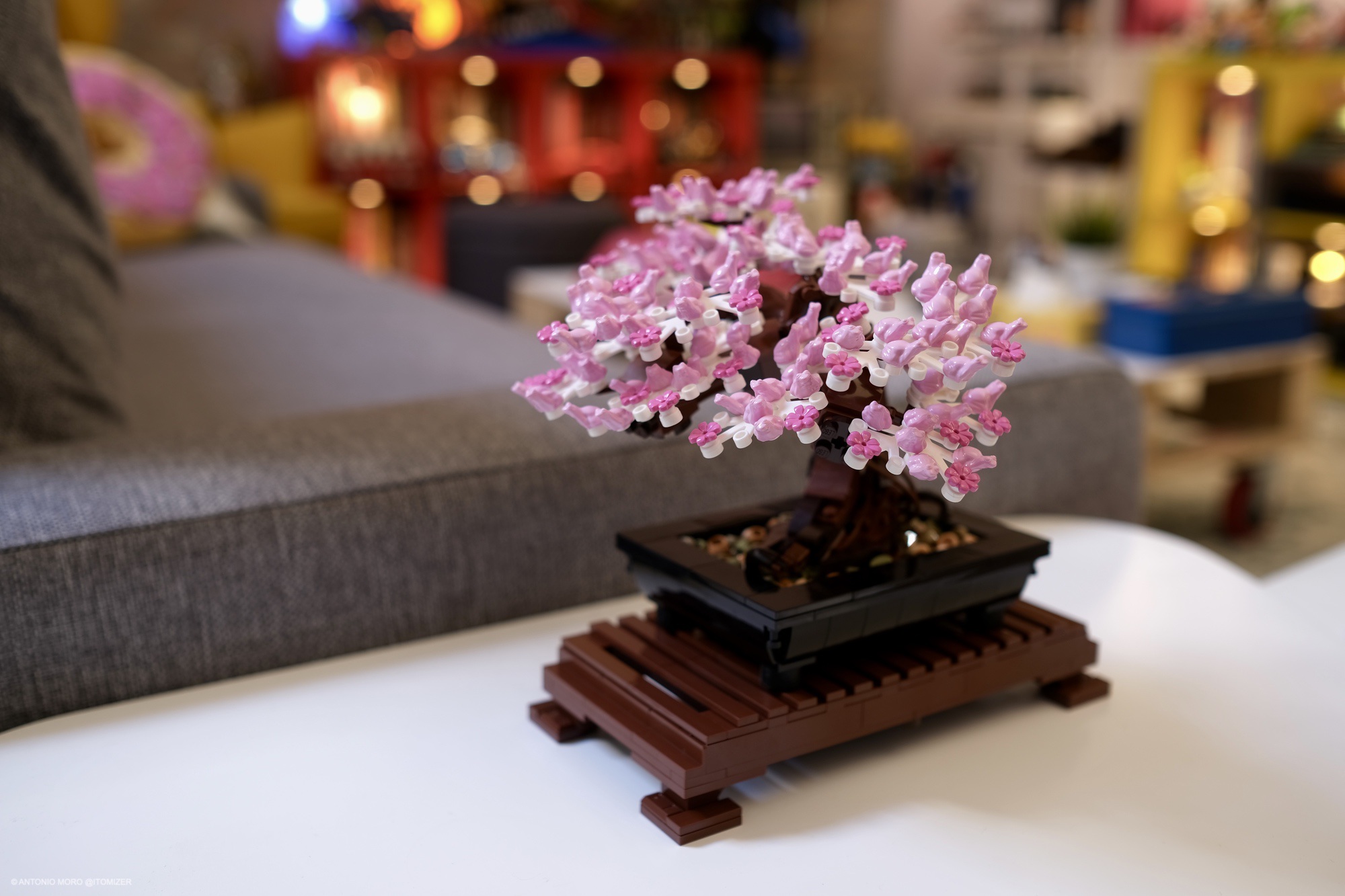 LEGO Botanical Collection: Bonsai, Bouquet di fiori e Uccello del