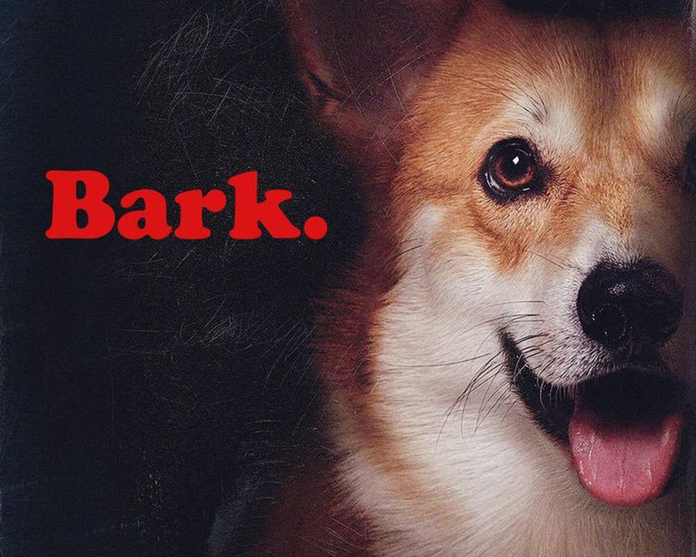 Cowboy Bebop: la “Ein Edit” della storica ending The Real Folk Blues e il video di Rush