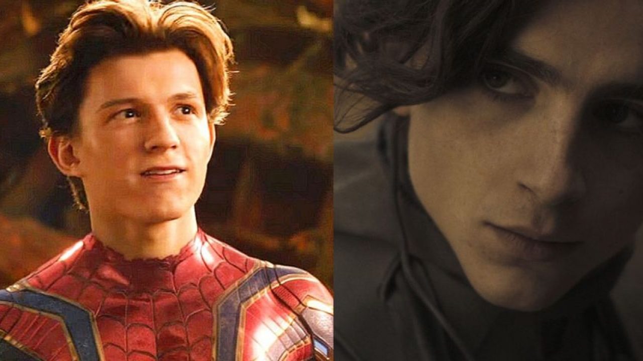 Spider-Man: Timothée Chalamet dovrebbe essere Harry Osborn secondo Tom Holland