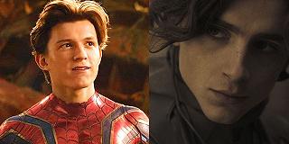 Spider-Man: Timothée Chalamet dovrebbe essere Harry Osborn secondo Tom Holland