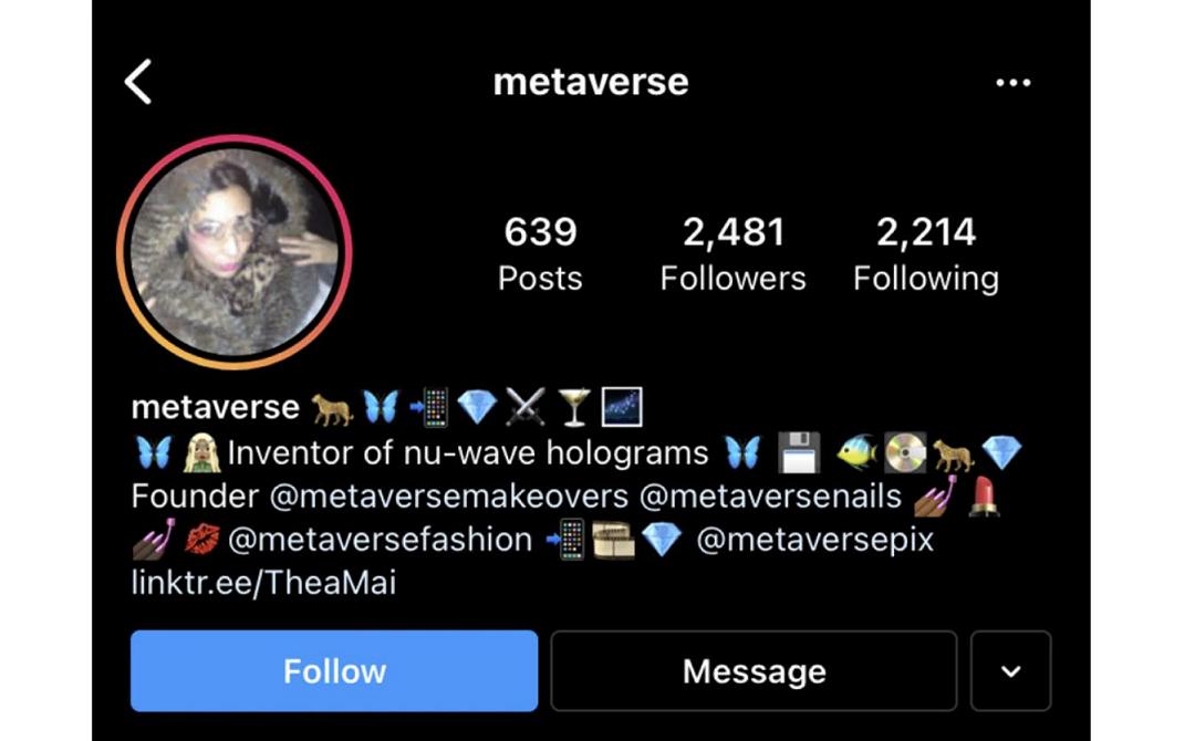 Instagram banna Metaverse, imprenditrice con un nickname diventato ‘scomodo’