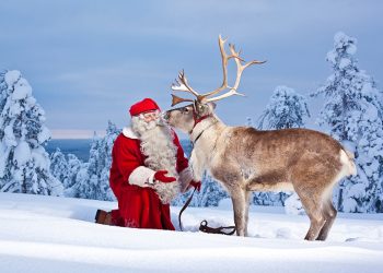 Rudolph e le renne di Babbo Natale