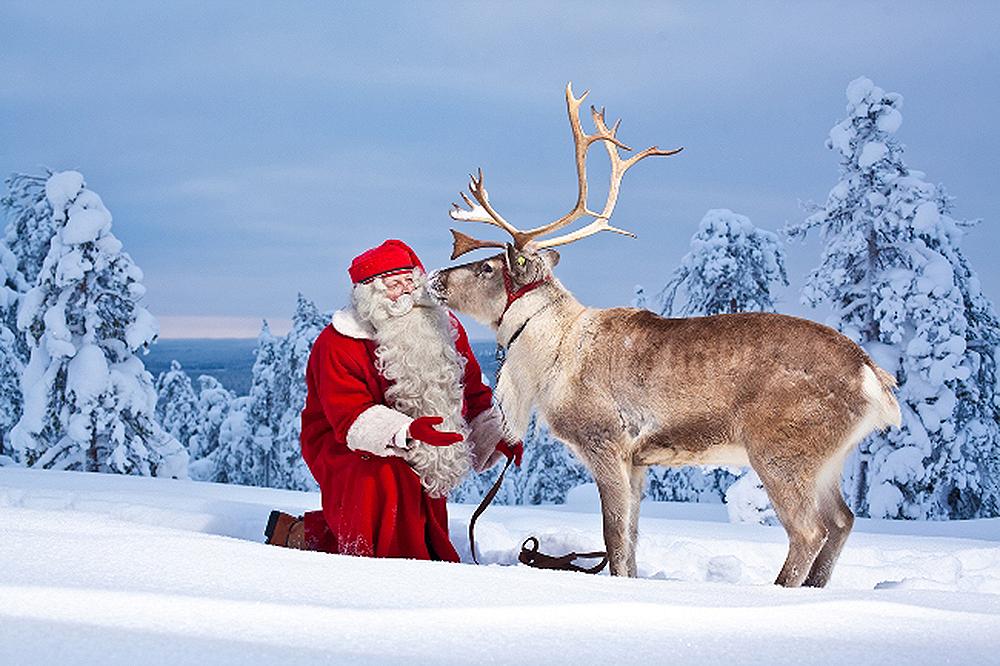 Rudolph e le renne di Babbo Natale