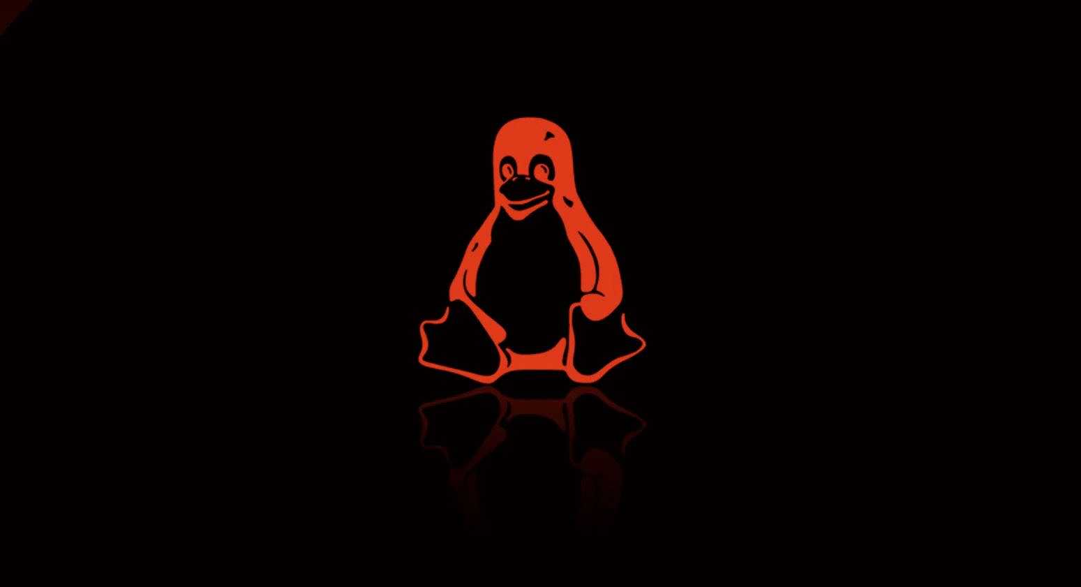 Malware Linux, nel 2021 fenomeno cresciuto del 35%. Gli esperti: “nel 2022 il trend non si fermerà”