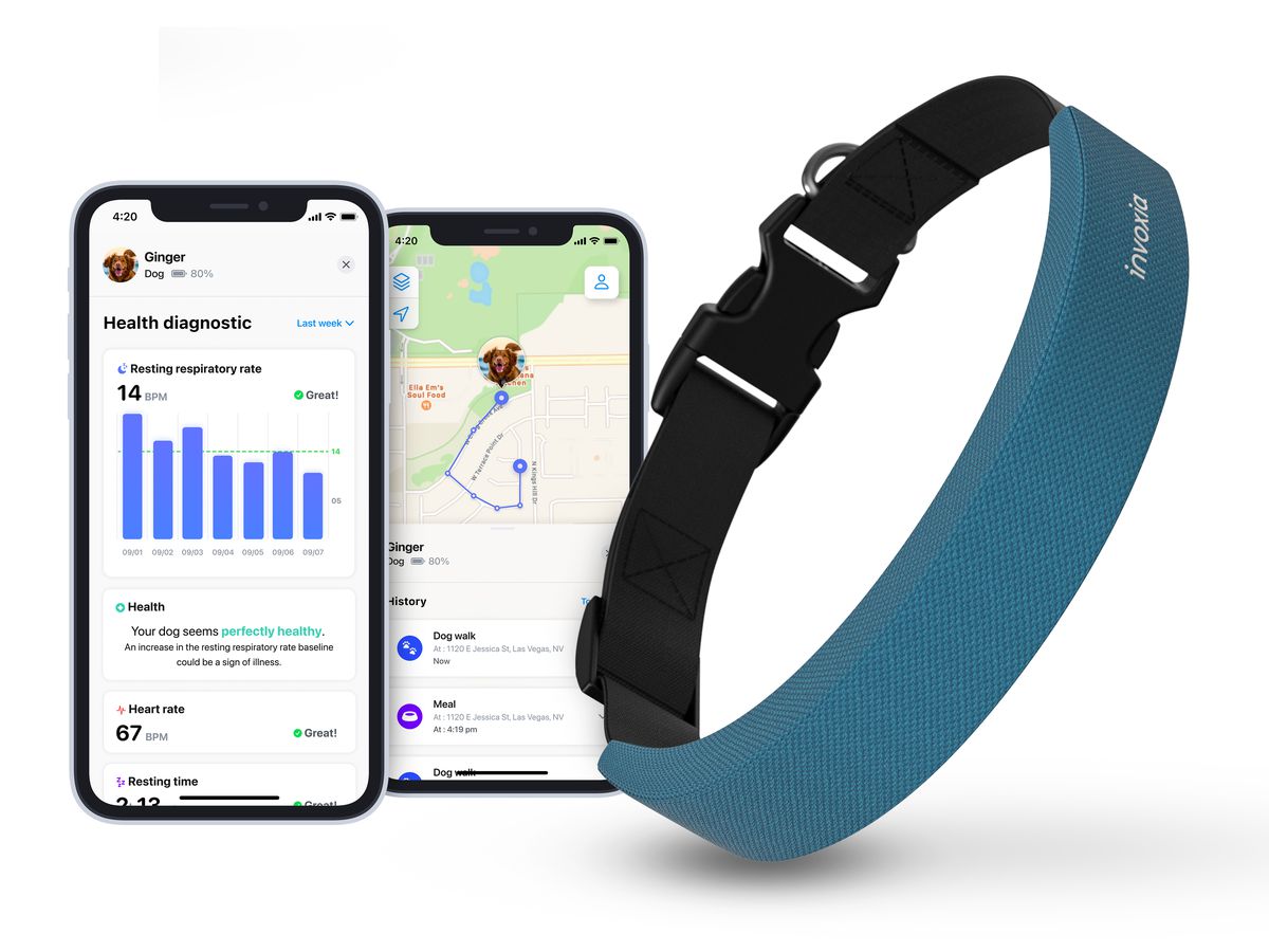 Invoxia ha pensato a un collare per cani smart che misura battito cardiaco e frequenza respiratoria