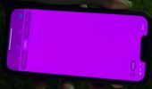 Un fastidioso bug rende lo schermo dell'iPhone 13 rosa/fucsia, Apple lavora ad una soluzione