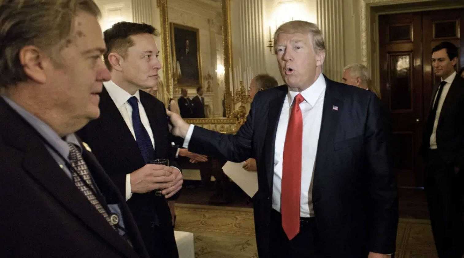 Twitter, dopo Donald Trump ora Elon Musk propone un’amnistia per tutti gli account bannati a vita