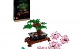 Offerte Amazon: LEGO Albero Bonsai disponibile ad un ottimo prezzo