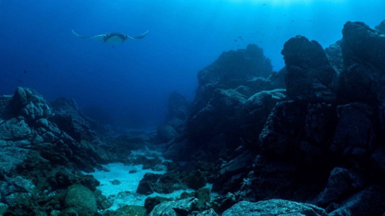 Trovate grandi montagne di zucchero sotto l’oceano
