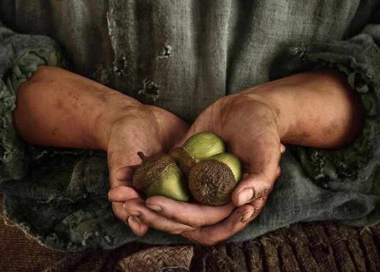 Il Signore degli Anelli: Gli anelli del Potere – I nuovi interpreti della serie con i rispettivi personaggi