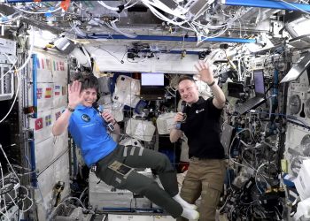 Samantha Cristoforetti: quali esperimenti sta facendo sulla ISS?