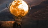 Superluna del Cervo di luglio, spettacolo del 2022: quando vederla