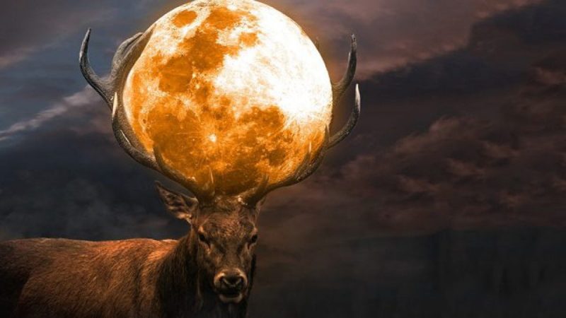 Superluna del Cervo di luglio, spettacolo del 2022: quando vederla