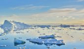Antartide: come si sta adattando a un clima sempre più caldo