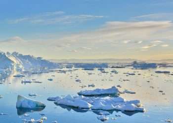 Antartide: come si sta adattando a un clima sempre più caldo
