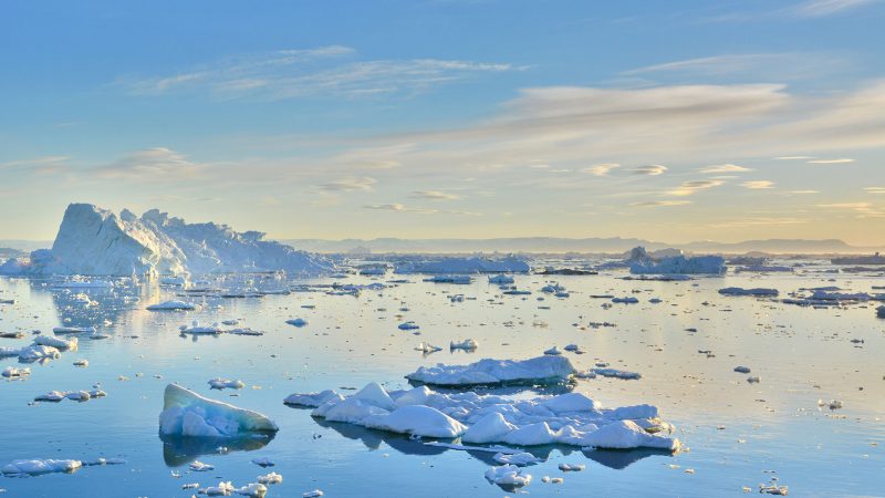 Antartide: come si sta adattando a un clima sempre più caldo