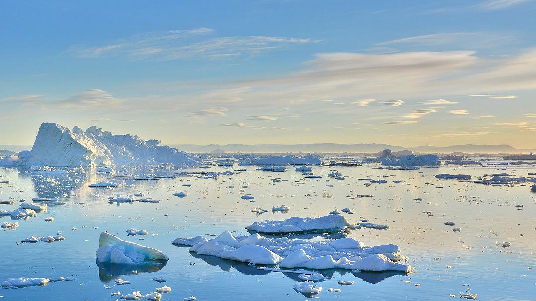 Antartide: come si sta adattando a un clima sempre più caldo