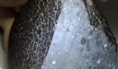 antico meteorite marziano