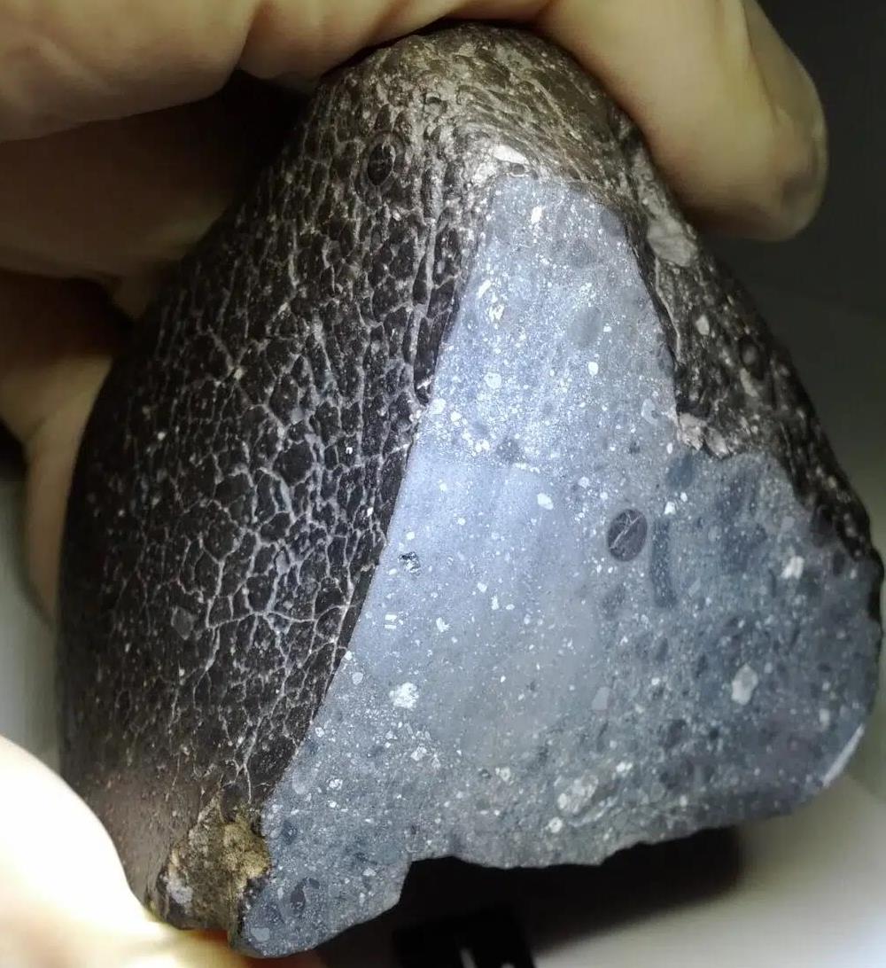 antico meteorite marziano