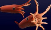 Calamaro giurassico: ricostruito in 3D, era un cacciatore con ventose