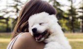 Cani e umani: spiegazione genetica dell’amicizia