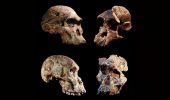 Culla dell’umanità: ritrovati fossili più vecchi