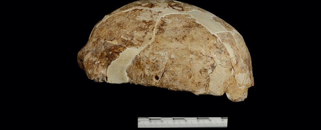 cranio ritrovato in Cina