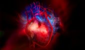 Ventricolo cardiaco batte e pompa sangue: è bioartificiale