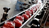 Pomodori da industria: il cambiamento climatico rappresenta una minaccia