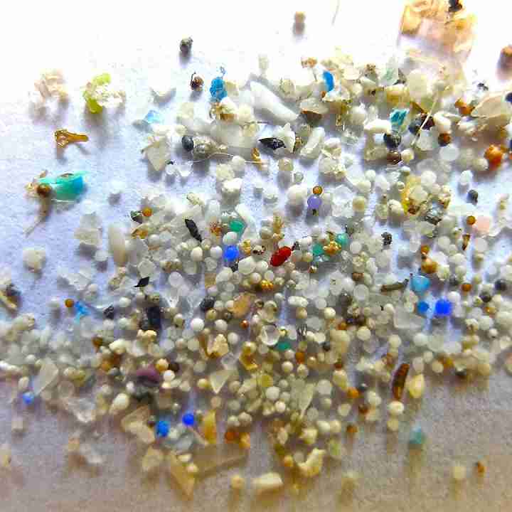 microplastiche