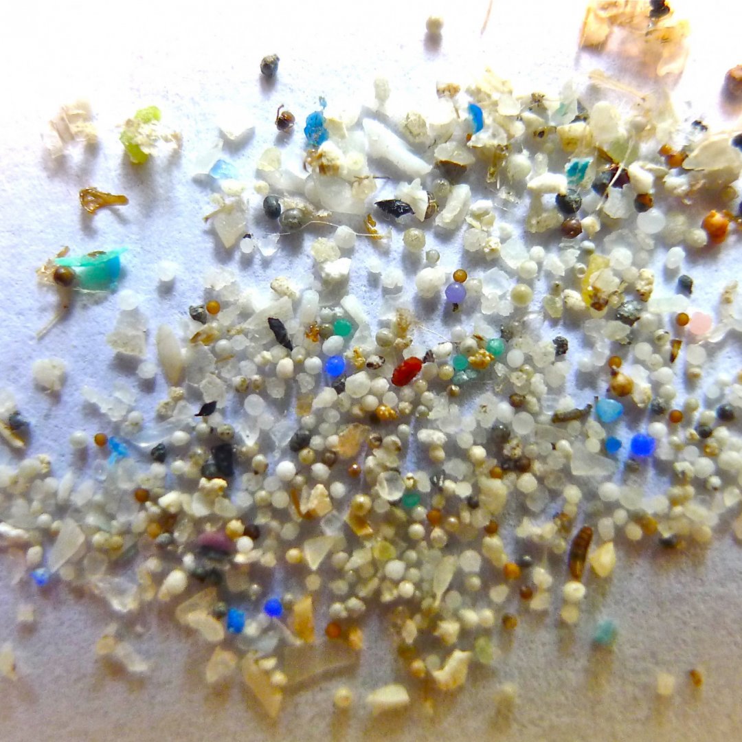 Microplastiche sostituite con fibre di seta biocompatibili