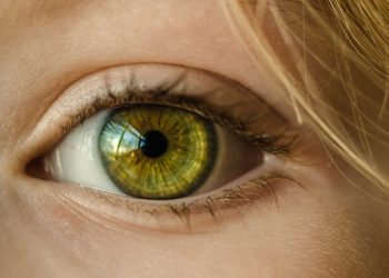 Occhi verdi, solo il 2% della popolazione mondiale li ha