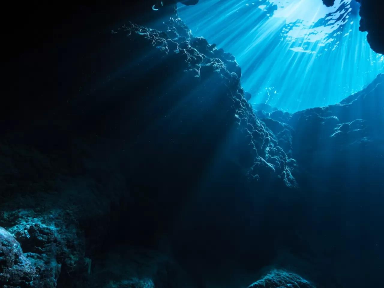 Картинки океана под водой