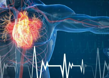ormone ripara il cuore dopo infarto