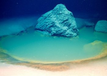 Pozze di acqua salata: scoperte nel Mar Rosso