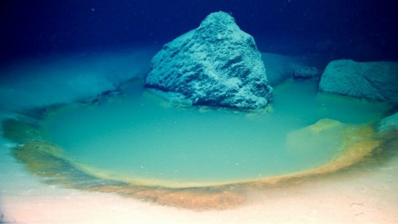 Pozze di acqua salata: scoperte nel Mar Rosso