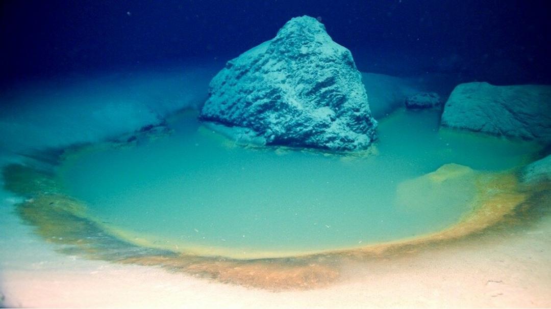 Pozze di acqua salata: scoperte nel Mar Rosso