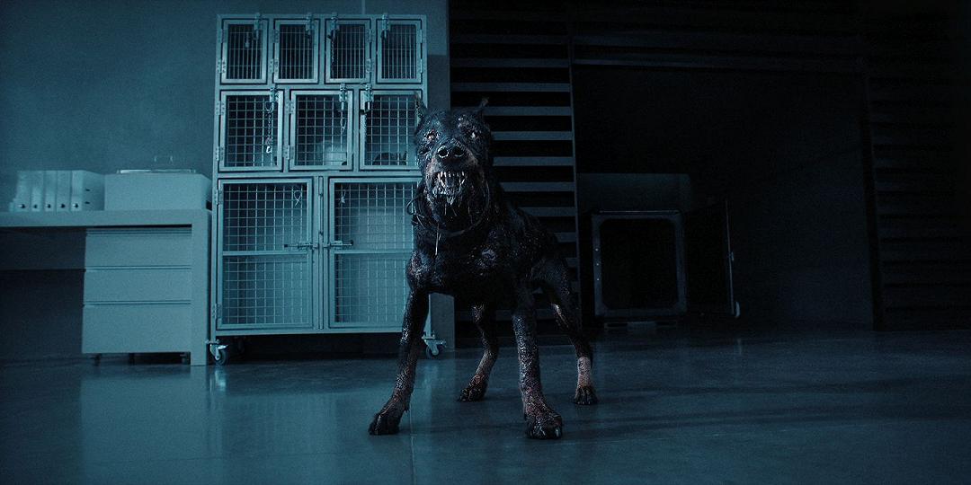 Resident Evil: le foto ufficiali della serie tv Netflix