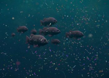 Robo-fish bionico rimuove le microplastiche dagli oceani