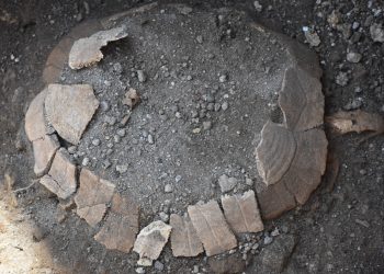 Tartaruga di 2000 anni fa ritrovata agli Scavi di Pompei