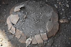 Tartaruga di 2000 anni fa ritrovata agli Scavi di Pompei