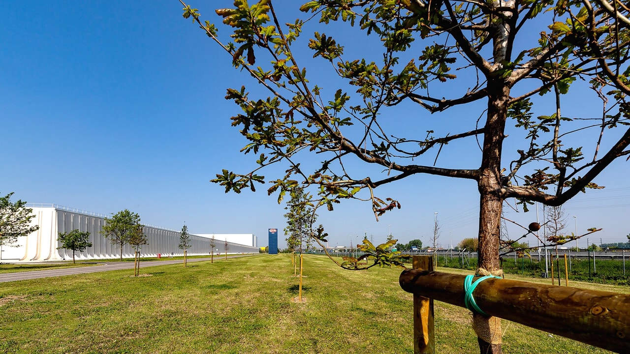 Il seme dell’agriBosco: ecco cos’è