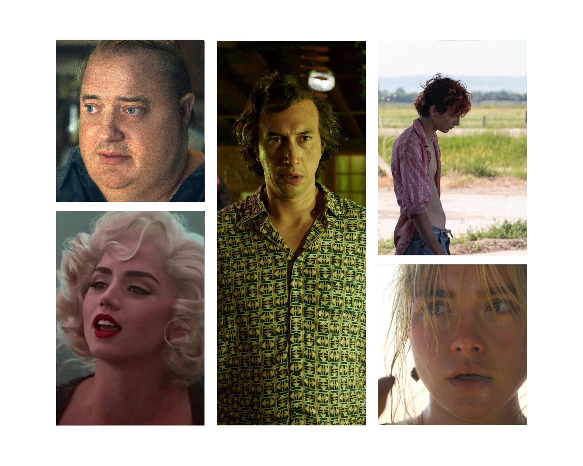 Festival di Venezia 2022: i film più attesi della 79esima edizione