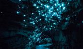 Grotte calcaree: le Waitomo Caves luminose come un cielo stellato