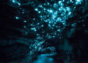 Grotte calcaree: le Waitomo Caves luminose come un cielo stellato