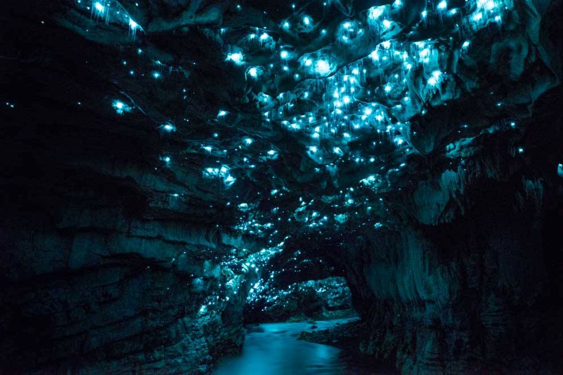 Grotte calcaree: le Waitomo Caves luminose come un cielo stellato