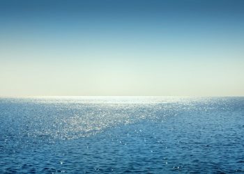 Caldo estremo: specie marine a rischio nel Mediterraneo